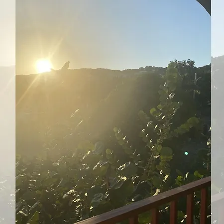 Bed and Breakfast Jamaica Like A Local, A Perfect Girls' Getaway With Curated Excursions